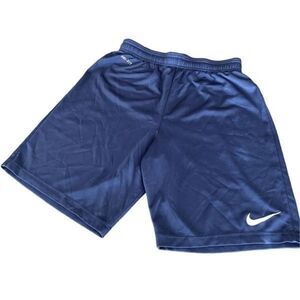 Nike Dri-fit Shorts size L